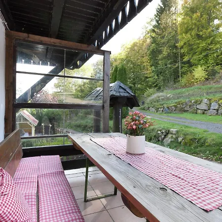 公寓 Cozy In The Black Forest Dachsberg im Schwarzwald