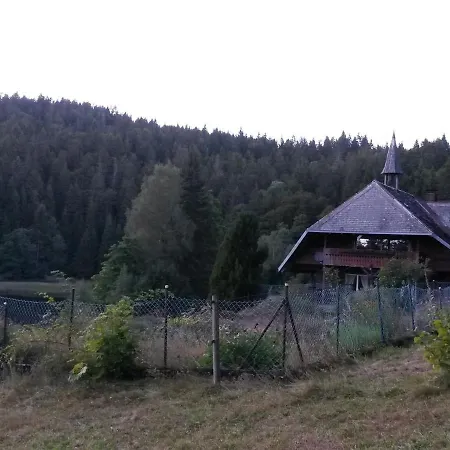 Cozy In The Black Forest * Dachsberg im Schwarzwald