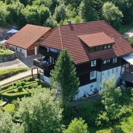 Cozy In The Black Forest