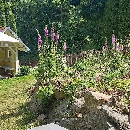 Cozy In The Black Forest 公寓 Dachsberg im Schwarzwald