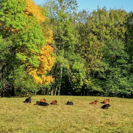 Forsthauswohnung Im Schwarzwald Appartamento