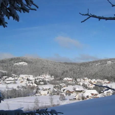 Appartamento Forsthauswohnung Im Schwarzwald *