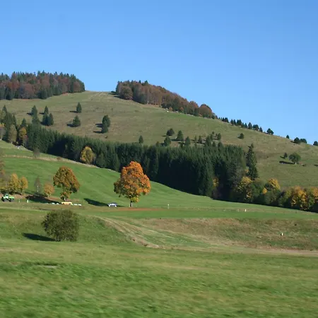 Appartement Forsthauswohnung Im Schwarzwald Dachsberg im Schwarzwald
