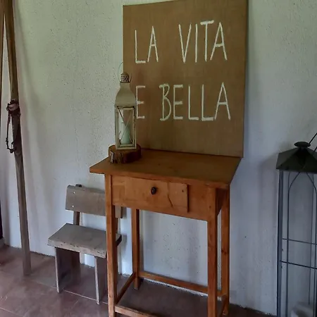 Forsthauswohnung Im Schwarzwald * Dachsberg im Schwarzwald