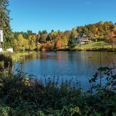 Appartamento Forsthauswohnung Im Schwarzwald Dachsberg im Schwarzwald