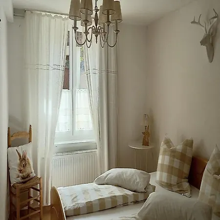 Forsthauswohnung Im Schwarzwald Dachsberg im Schwarzwald