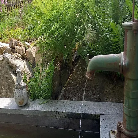 Forsthauswohnung Im Schwarzwald