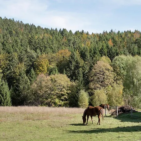 Appartement Forsthauswohnung Im Schwarzwald *