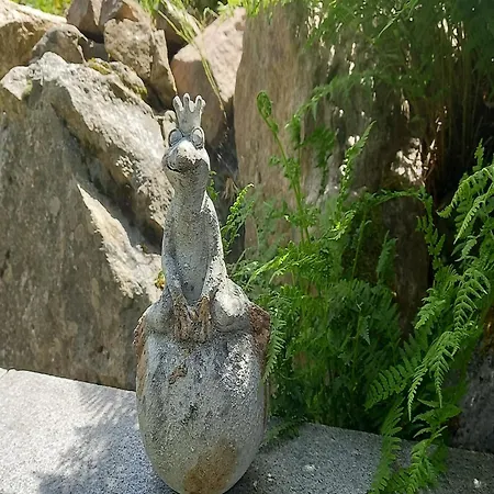 Forsthauswohnung Im Schwarzwald * Dachsberg im Schwarzwald