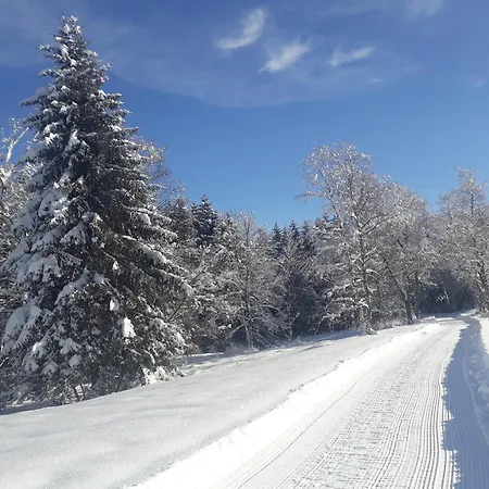 Forsthauswohnung Im Schwarzwald Appartamento