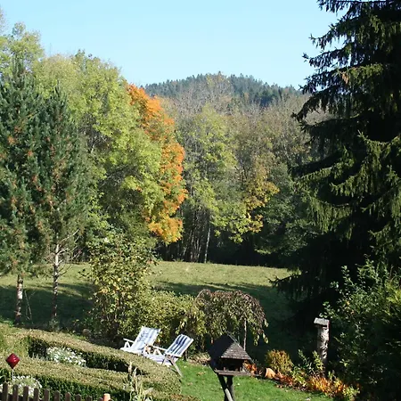 Forsthauswohnung Im Schwarzwald * Dachsberg im Schwarzwald